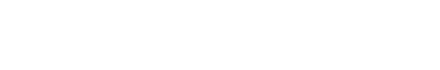ICE 2027